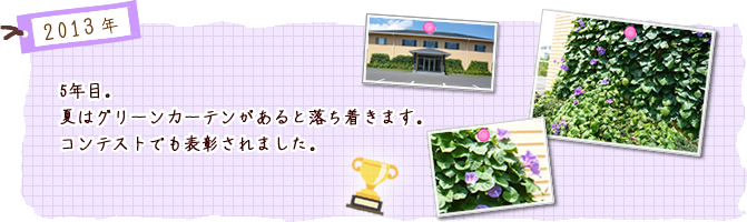 5年目。夏はグリーンカーテンがあると落ち着きます。コンテストでも表彰されました。
