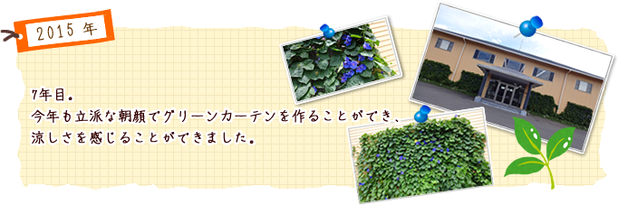 7年目。今年も立派な朝顔でグリーンカーテンを作ることができ、涼しさを感じることができました。